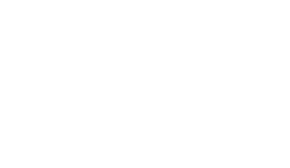 Scalar Partners